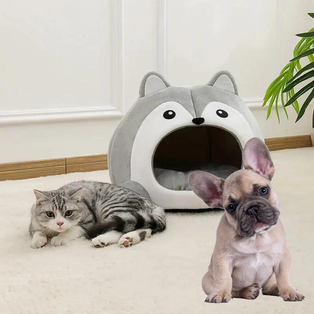 Charming Fox Pet House - Ultimate Sanctuary for Your Cat or Small Dog!