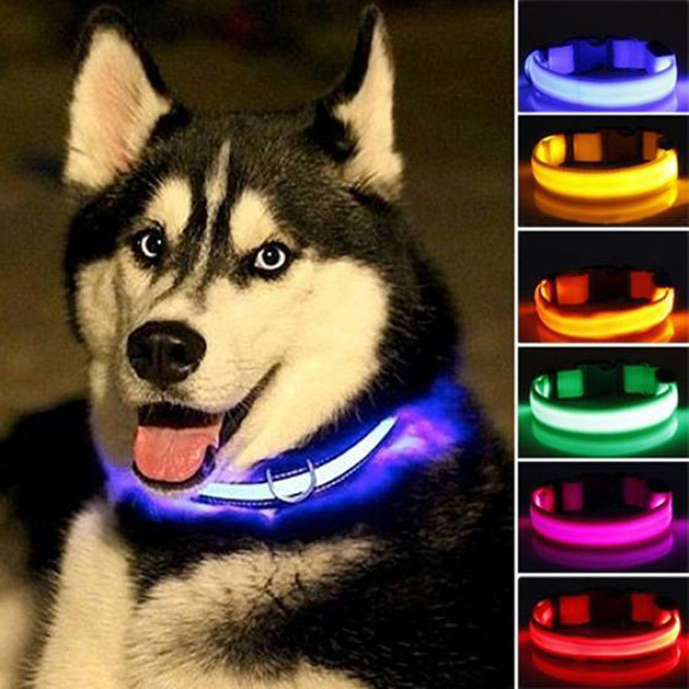Night Time LED Dog Collar - Bright, Safe, and Adjustable for Evening Walks