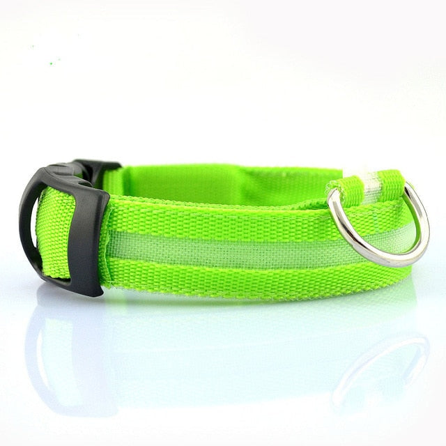 Night Time LED Dog Collar - Bright, Safe, and Adjustable for Evening Walks