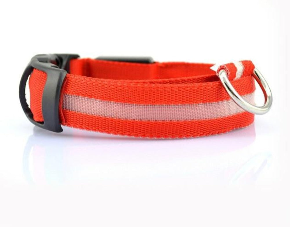 Night Time LED Dog Collar - Bright, Safe, and Adjustable for Evening Walks