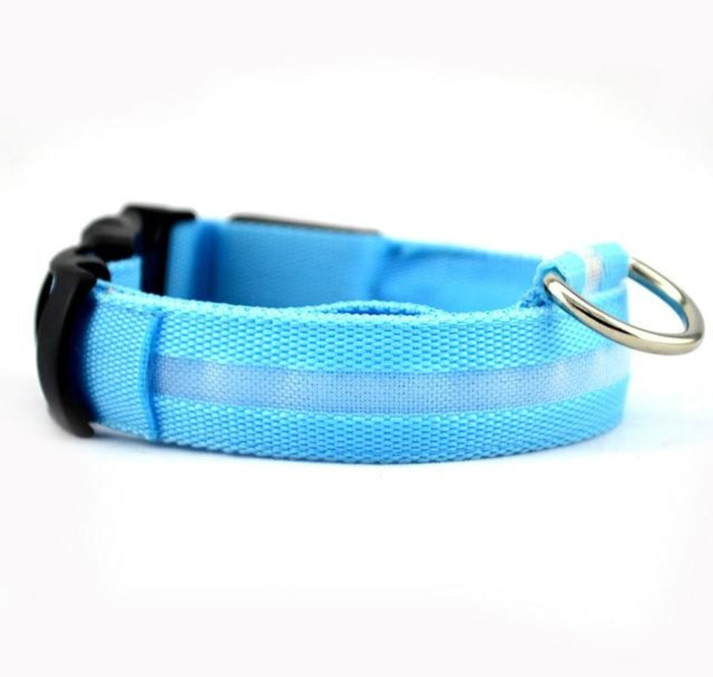 Night Time LED Dog Collar - Bright, Safe, and Adjustable for Evening Walks