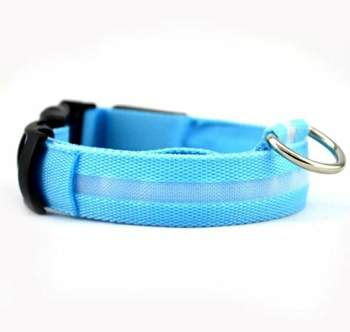 Night Time LED Dog Collar - Bright, Safe, and Adjustable for Evening Walks
