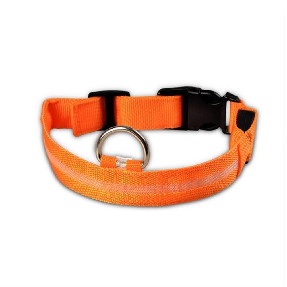 Night Time LED Dog Collar - Bright, Safe, and Adjustable for Evening Walks