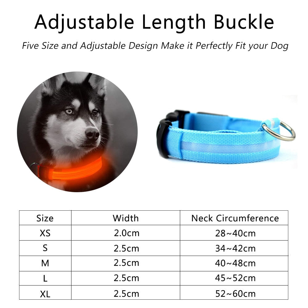 Night Time LED Dog Collar - Bright, Safe, and Adjustable for Evening Walks